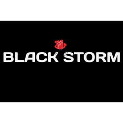 BLACK STORM