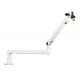 FIFINE MICROPHONE BM88 LOW ARM PROFILE ADJUSTABLE STICK WITH DESK MOUNT CLAMP SCREW ADAPTER CABLE MANAGEMENT FOR STREAMING GAMING STUDIO MICROPHONE ARM STAND - WHITE
