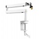 FIFINE MICROPHONE BM88 LOW ARM PROFILE ADJUSTABLE STICK WITH DESK MOUNT CLAMP SCREW ADAPTER CABLE MANAGEMENT FOR STREAMING GAMING STUDIO MICROPHONE ARM STAND - WHITE