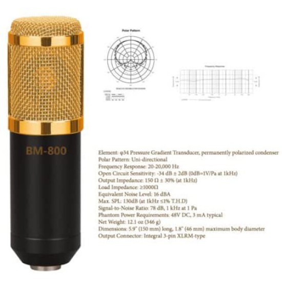 PROFESSIONAL MICROPHONE BM-800