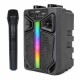 GREATNICE GTS-2066 6.5-INCH DRIVER TWS WITH MIC RGB LIGHTING RECHARGEABLE WIRELESS BLUETOOTH SPEAKER - BLACK