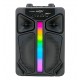 GREATNICE GTS-2066 6.5-INCH DRIVER TWS WITH MIC RGB LIGHTING RECHARGEABLE WIRELESS BLUETOOTH SPEAKER - BLACK