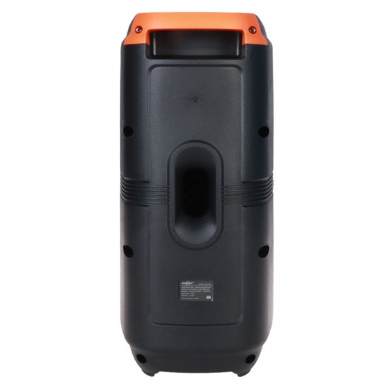 GREATNICE GTS-2133 12W DUAL 4-INCH DRIVERS RGB LIGHTING WITH MIC PORTABLE WIRELESS BLUETOOTH SPEAKER – BLACK