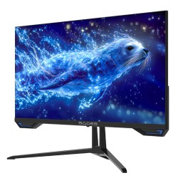 SADES SL-SEALION-24 PLUS SA-F05F24B 24-INCH FHD 165HZ FLAT IPS 1MS MPRT ADAPTIVE SYNC MODERN CONNECTIVITY HDMI 2.1 GAMING MONITOR - BLACK