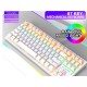 ZIYOULANG K2 RGB TKL MECHANICAL GAMING KEYBOARD BLUE SWITCH - WHITE