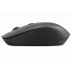 HP S1000 PLUS SILENT 2.4GHZ WITH 1600DPI ADJUSTABLE INVISIBLE OPTICAL SENSOR WIRELESS USB MOUSE – BLACK